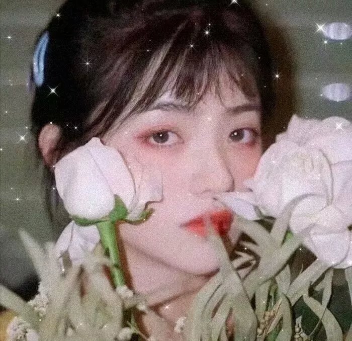 虎穴追踪